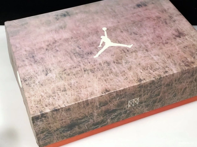 One Kick Beige Bio Air JTH Jordan 3 AV6683-200 0709